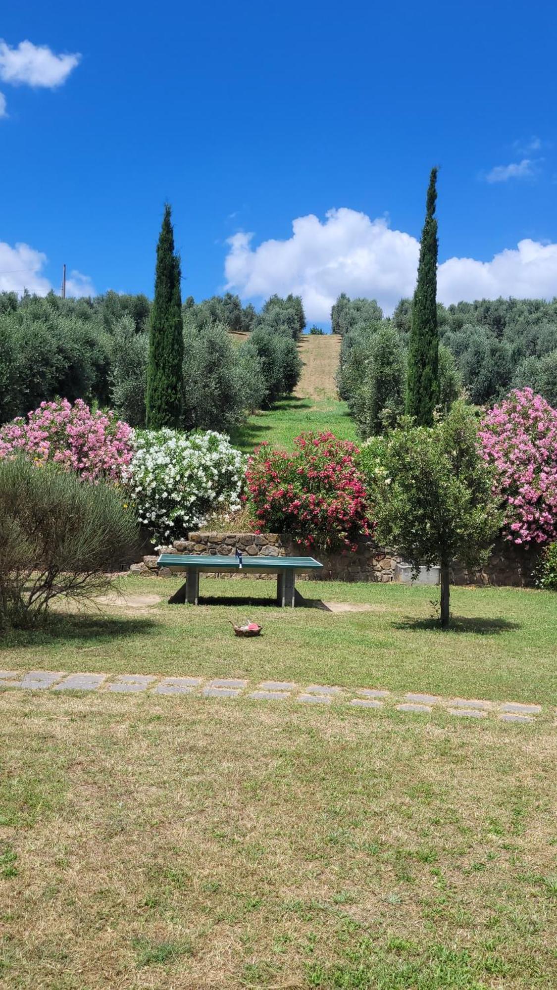 Agriturismo Podere Casalone Limite Exteriör bild